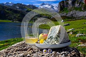 Glass of natural Asturian cider made fromÂ fermented apples, Asturian cabrales cow blue cheese with view on Covadonga lake